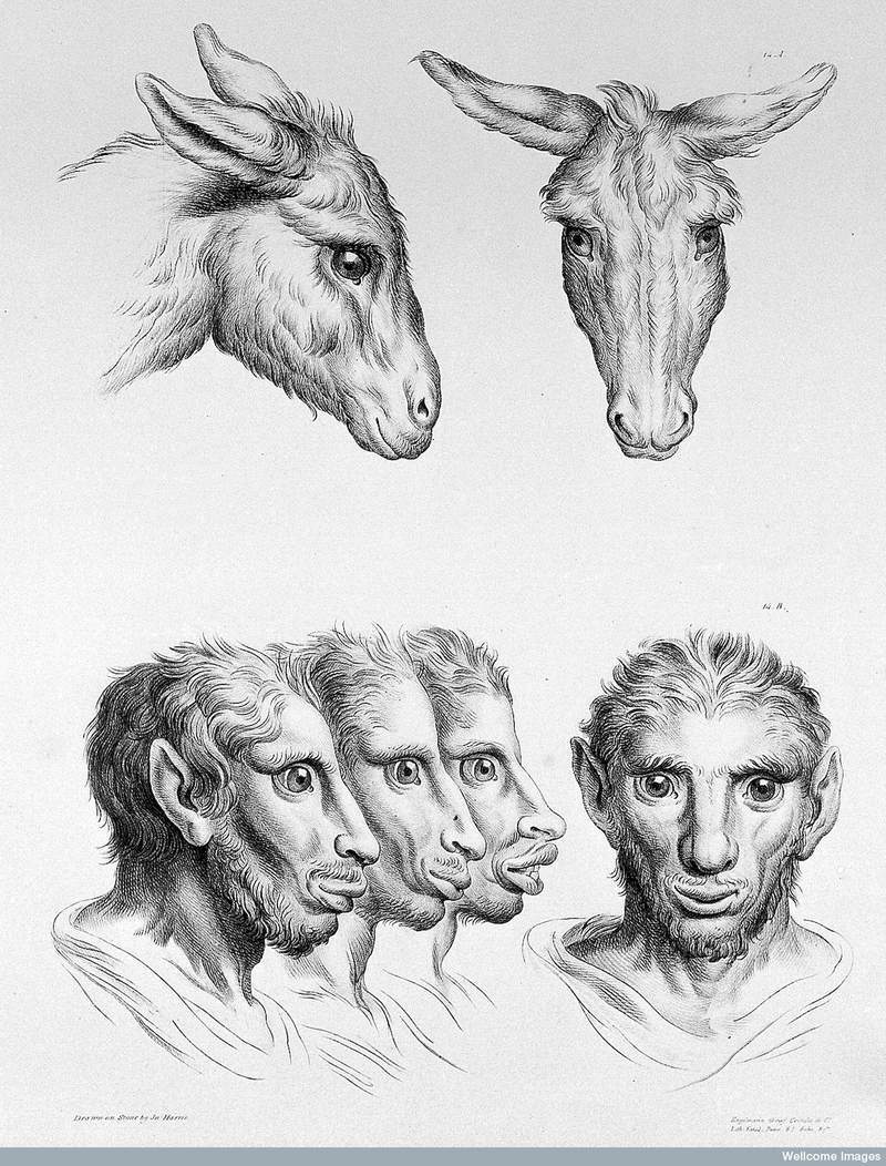 Illustration for article titled Baroque-Era Drawings Reveal Early Ideas About Evolution